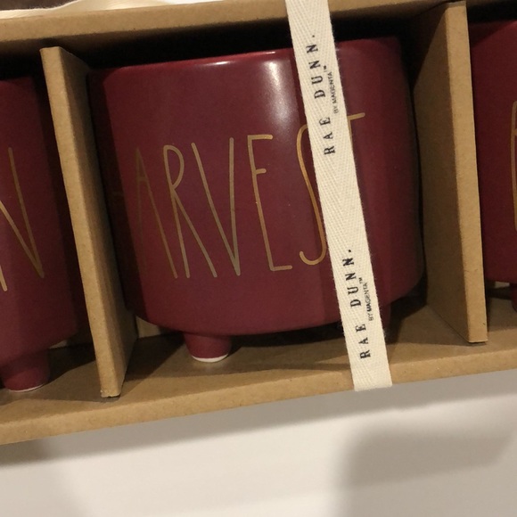 3 piece Rae Dunn Fall footed planters - Picture 4 of 7